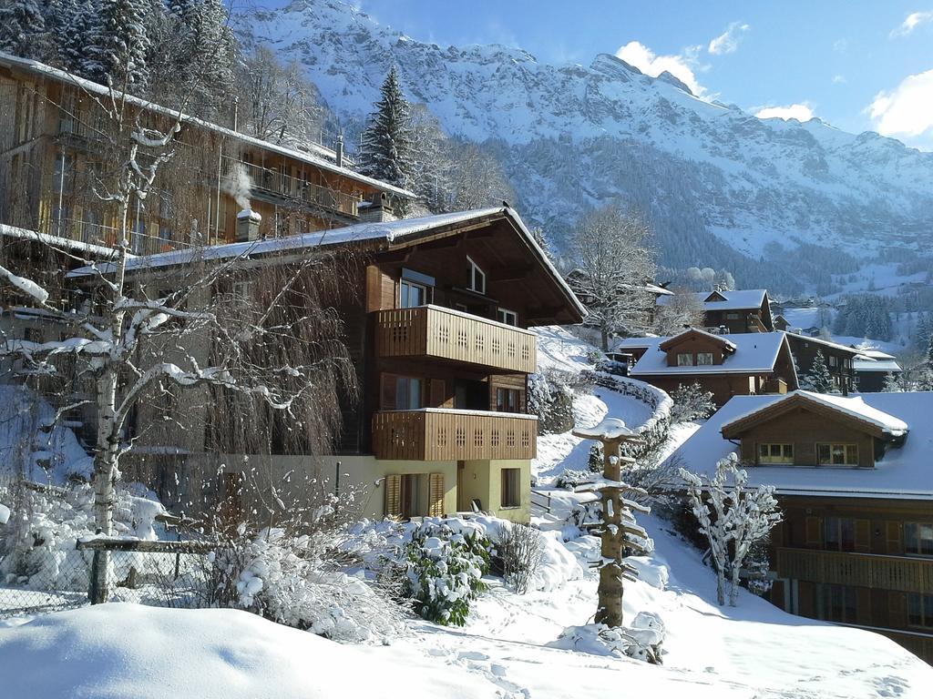 Chalet Gerbera Wengen Room photo