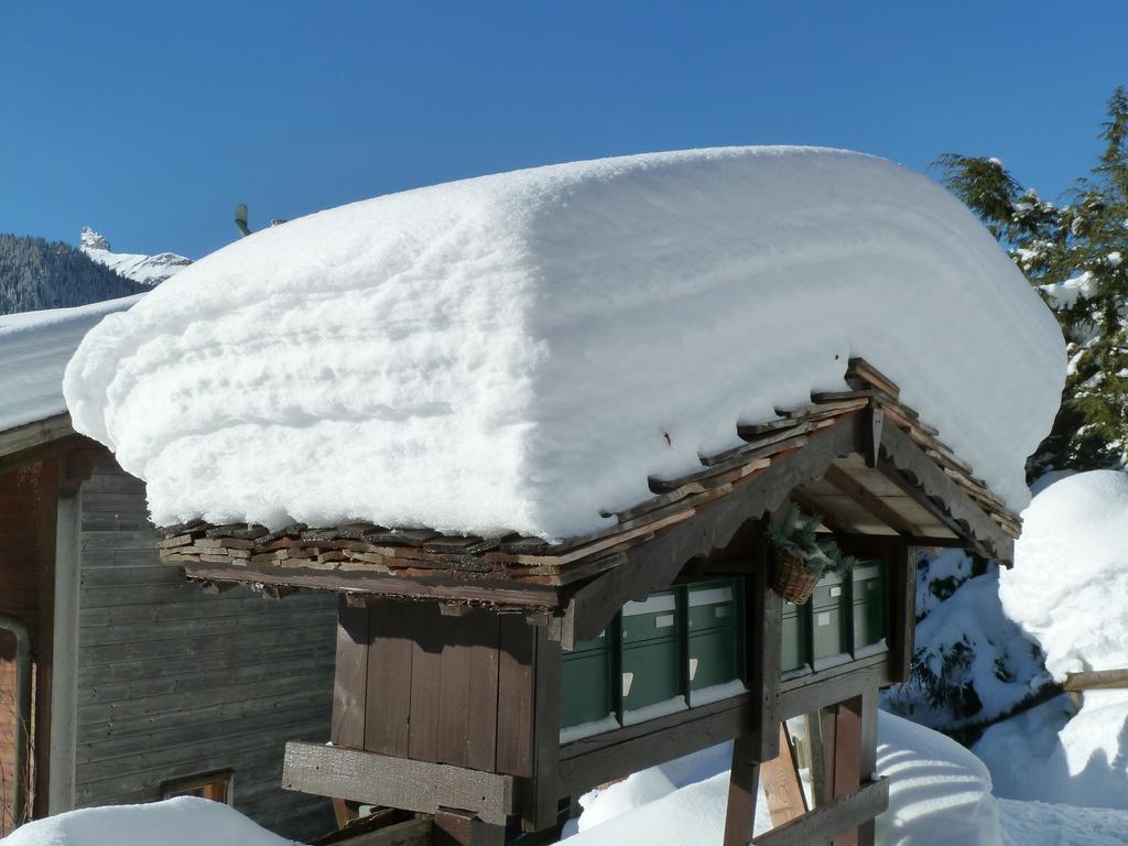 Chalet Gerbera Wengen Exterior photo