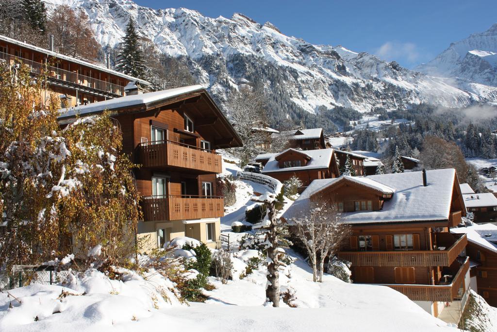 Chalet Gerbera Wengen Exterior photo
